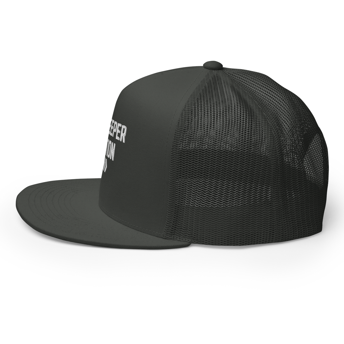 DDN Snap Back (Black)