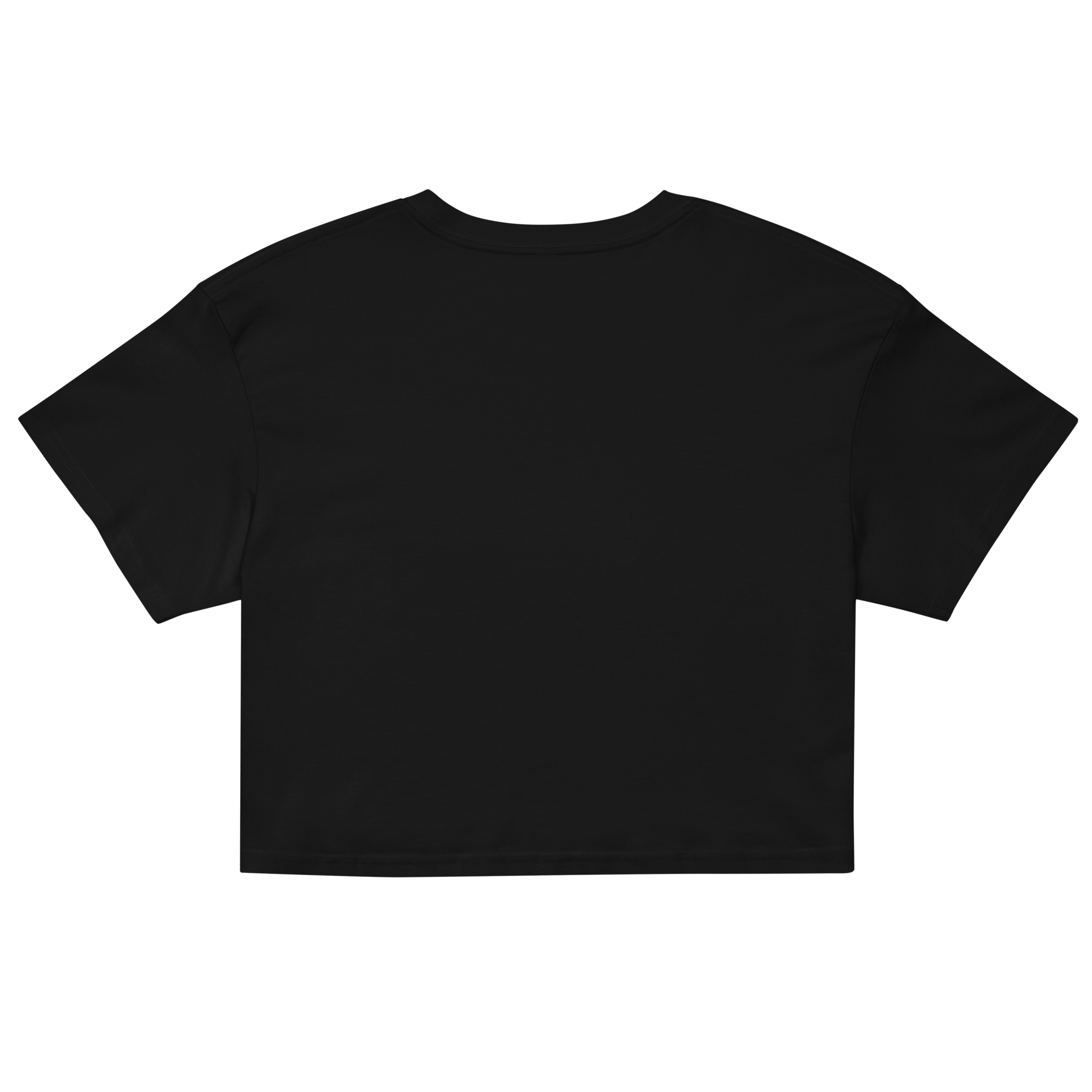 DDN Logo Member Crop Top